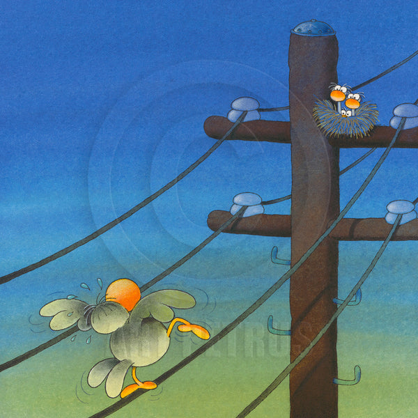 THE NEST