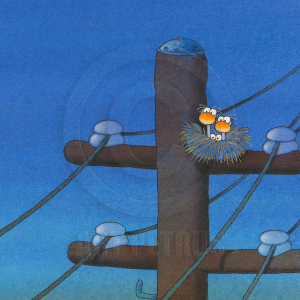 THE NEST